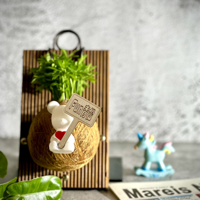 Fun青松手作苔球上板