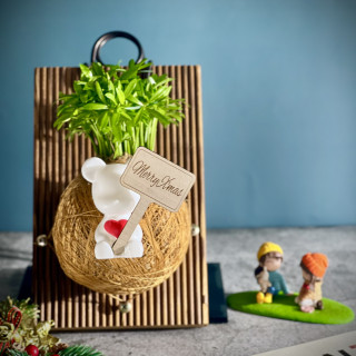 Fun青松手作苔球上板