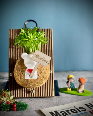 Fun青松手作苔球上板