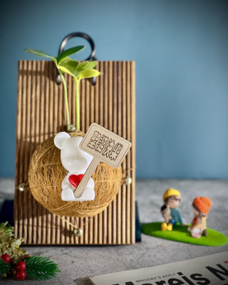 幸運鐵樹手作苔球上板