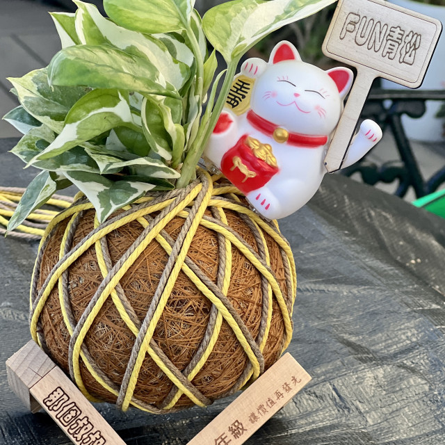 蓋婭療癒手作苔球課程