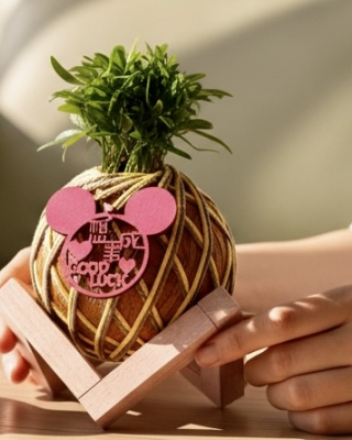 蓋婭療癒手作苔球課程