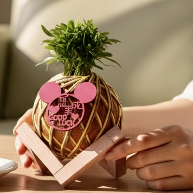 蓋婭療癒手作苔球課程