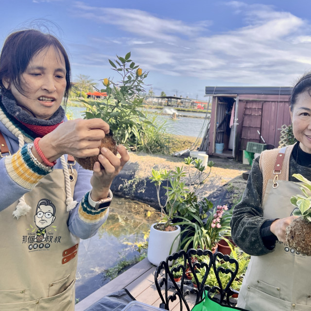 蓋婭療癒手作苔球課程