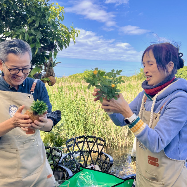 蓋婭療癒手作苔球課程
