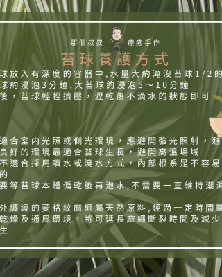 蓋婭療癒苔球上板課程